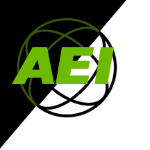 Auto Electric International